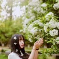 挽梦亦清歌